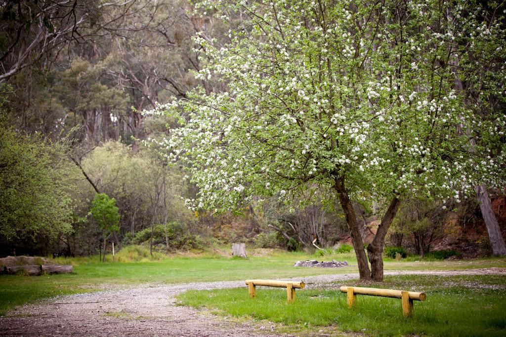 Beechworth Holiday Park 외부 사진