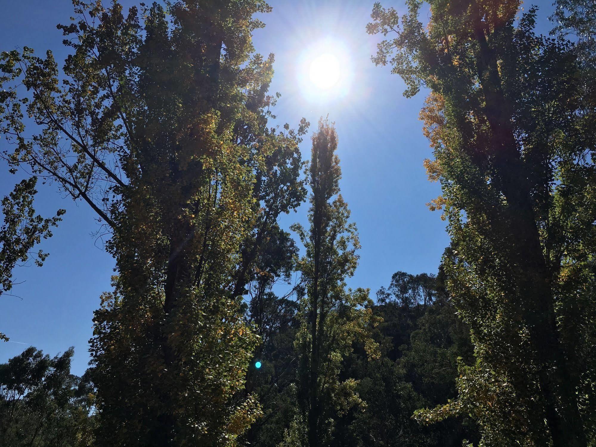 Beechworth Holiday Park 외부 사진